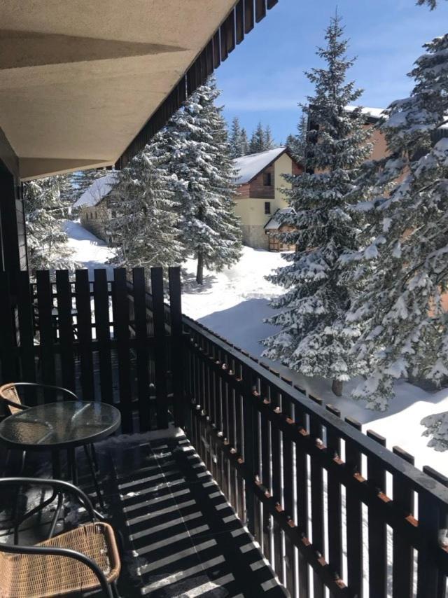Montana Jahorina