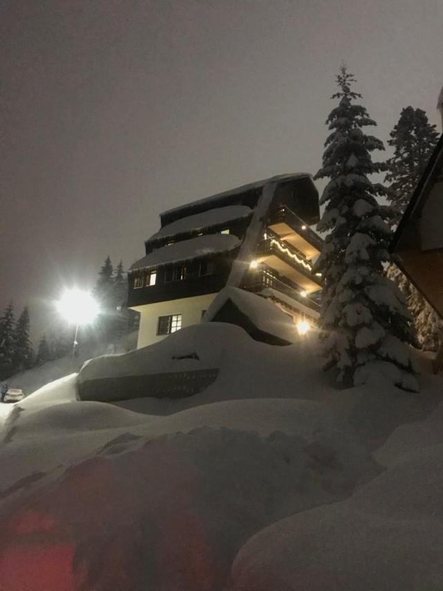 Montana * Jahorina